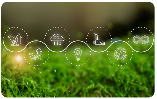 Sustainable IT advocacy image